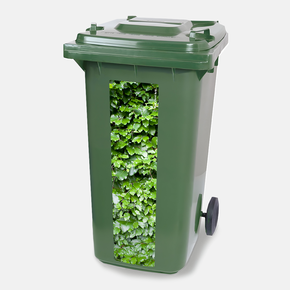 Kliko strip Beukenhaag