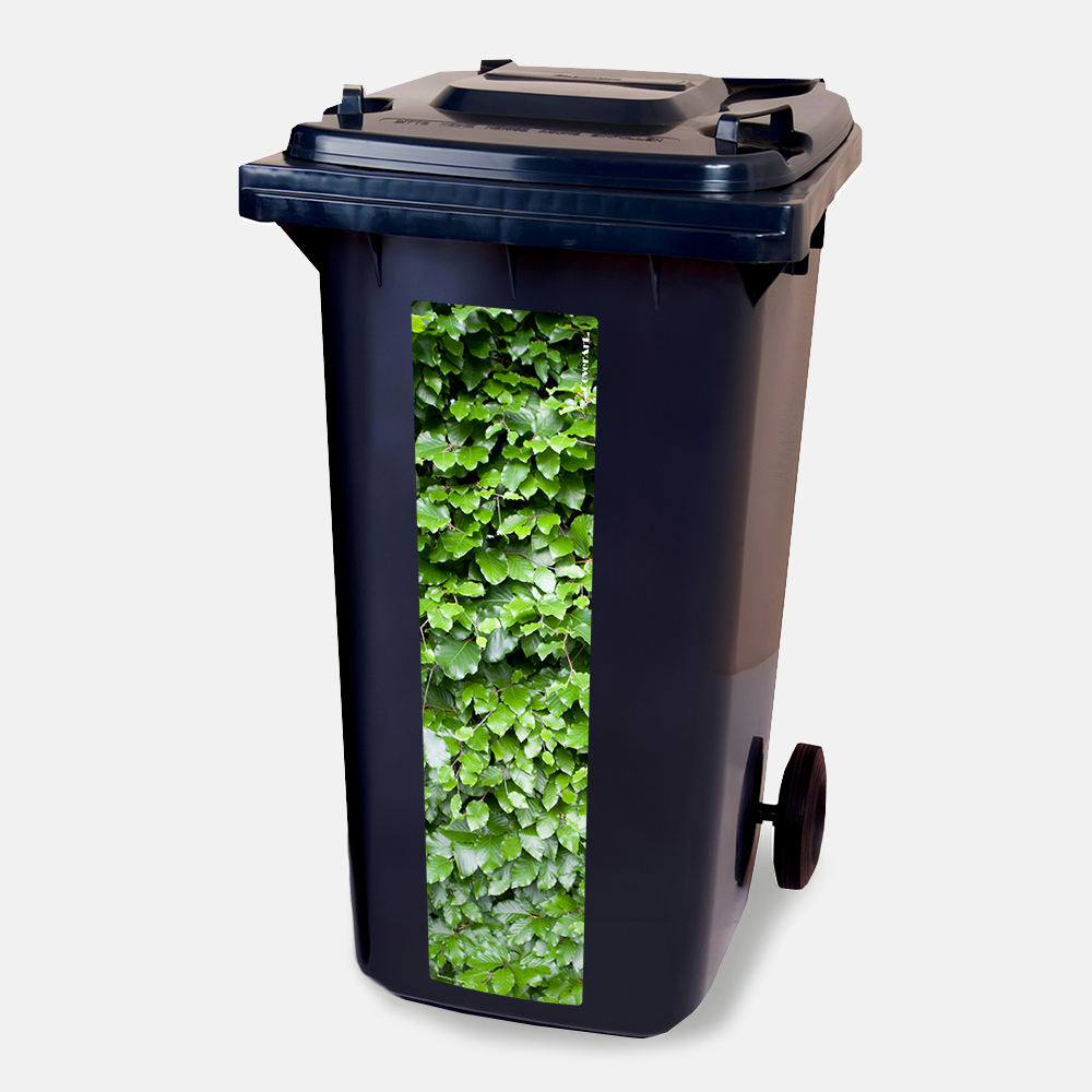 Kliko strip Beukenhaag