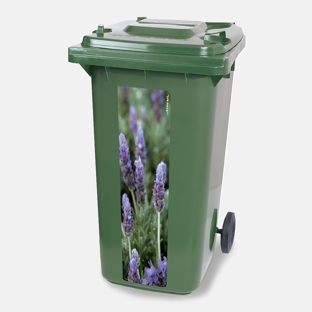 Kliko strip Lavendel