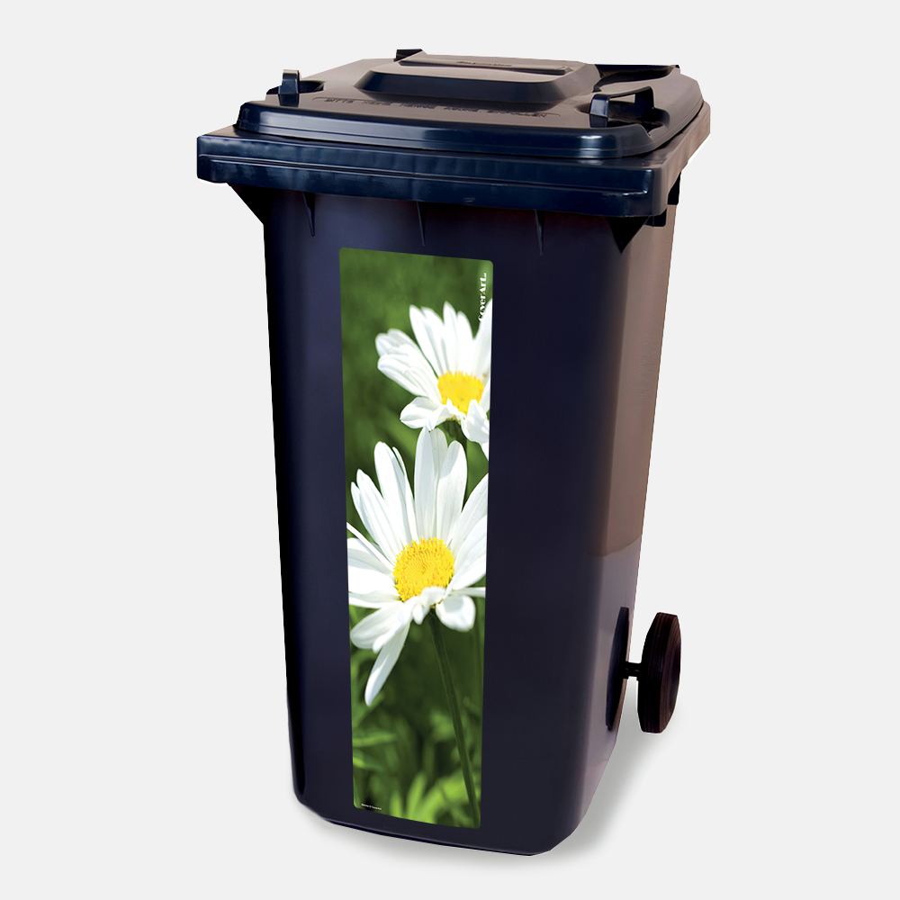 Kliko strip Margrieten