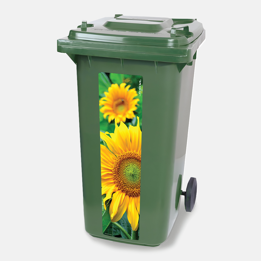 Kliko strip Zonnebloem