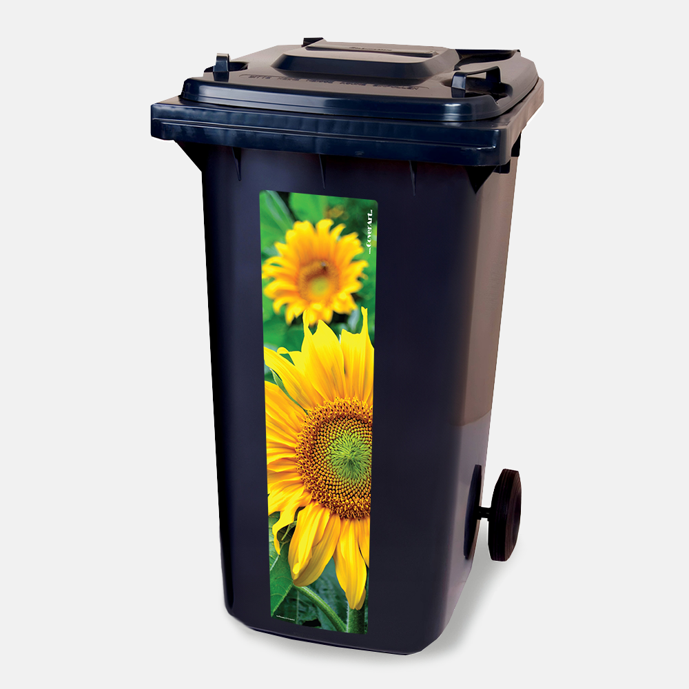 Kliko strip Zonnebloem